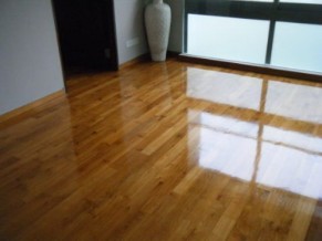 pulidor-plastificador-de-parquet-13527-MLU32000640_1936-O