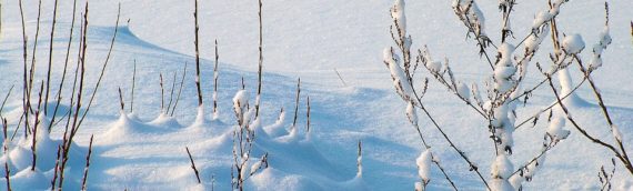 La llegada del invierno